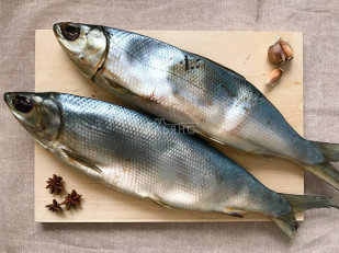 Морской коктейль (500гр): Сиг вяленый